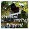 Smestaj Filipovic